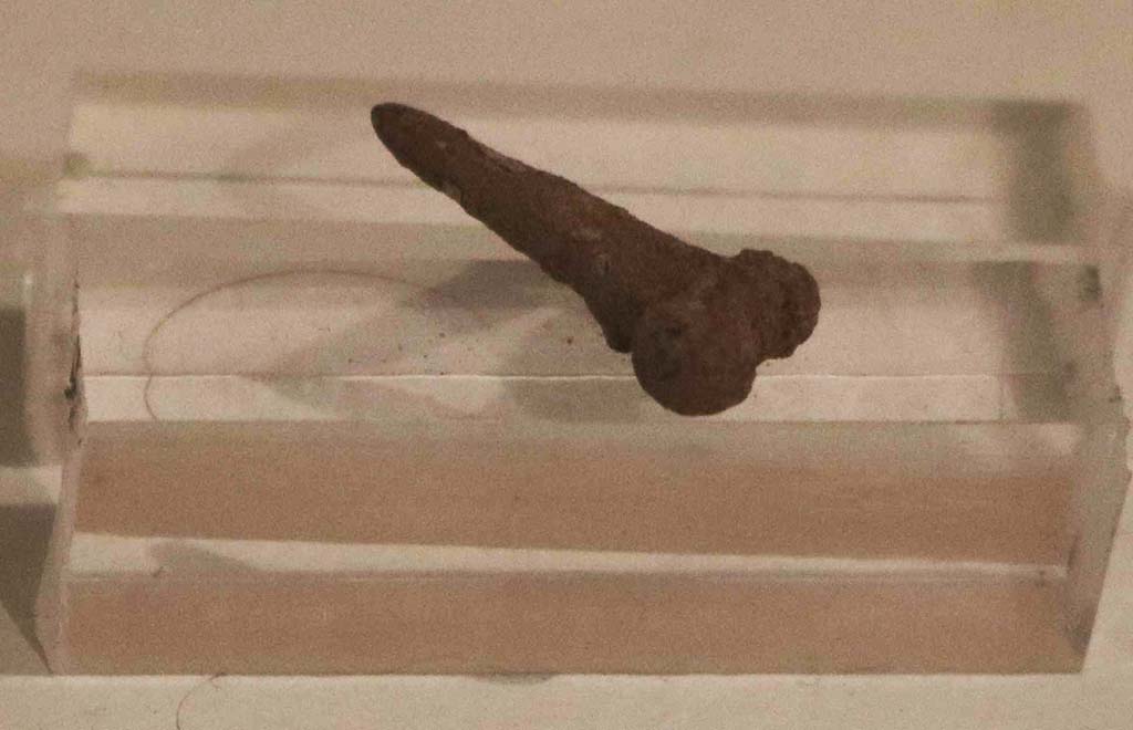 I.6.3 Pompeii. December 2018. Silver amulet in the form of a phallus. PAP inventory number 1431C.
Photo courtesy of Aude Durand.
