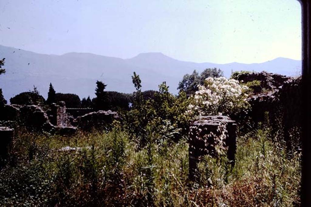 I.6.11 Pompeii. 1964. Looking south across peristyle garden. Photo by Stanley A. Jashemski.
Source: The Wilhelmina and Stanley A. Jashemski archive in the University of Maryland Library, Special Collections (See collection page) and made available under the Creative Commons Attribution-Non Commercial License v.4. See Licence and use details.
J64f1103
