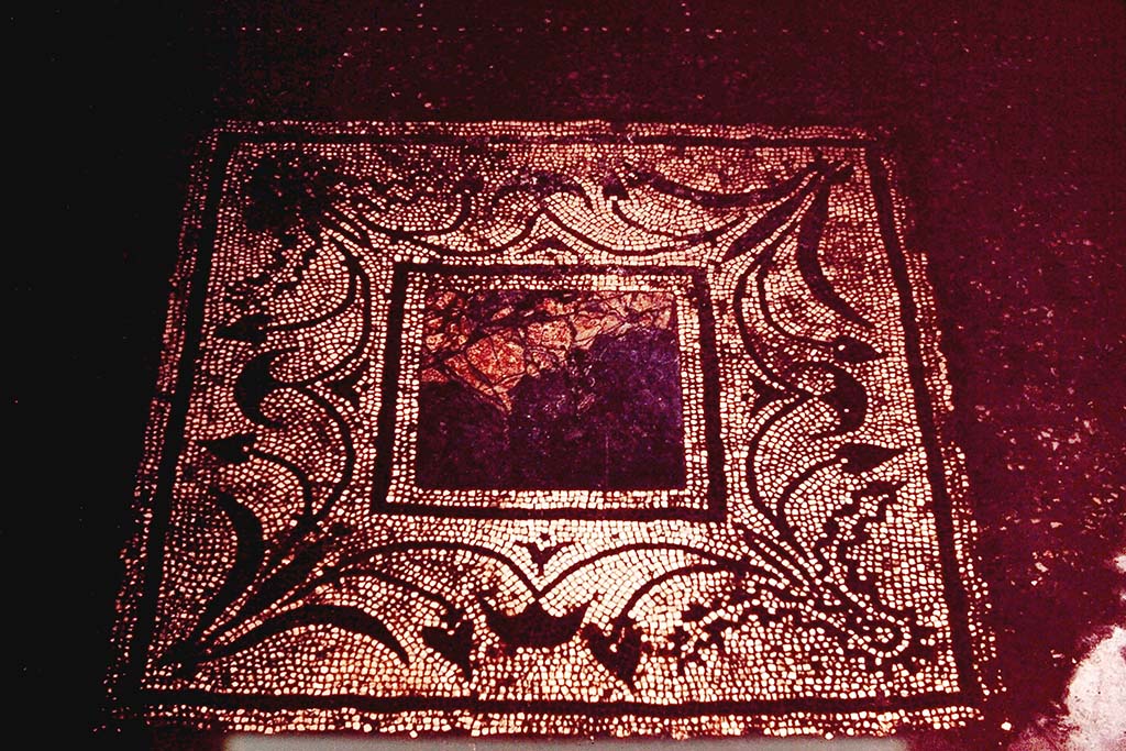 I.7.3 Pompeii. 1964. Mosaic floor and centre panel in triclinium in north-east corner of atrium. Photo by Stanley A. Jashemski.
Source: The Wilhelmina and Stanley A. Jashemski archive in the University of Maryland Library, Special Collections (See collection page) and made available under the Creative Commons Attribution-Non-Commercial License v.4. See Licence and use details.
J64f1810

