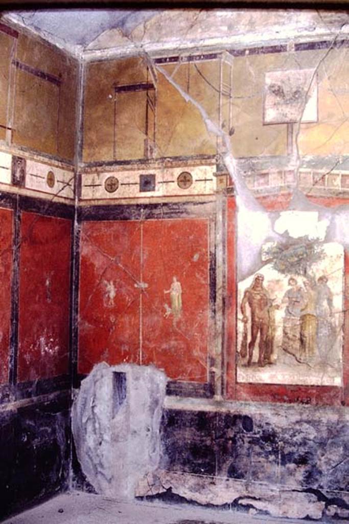 I.7.7 Pompeii. 1968. 
North-west corner and north wall of triclinium. Photo by Stanley A. Jashemski.
Source: The Wilhelmina and Stanley A. Jashemski archive in the University of Maryland Library, Special Collections (See collection page) and made available under the Creative Commons Attribution-Non Commercial License v.4. See Licence and use details.
J68f0723
Kuivalainen, describing the panel at the west end of the north wall 
A simple thin candelabrum divides a red side panel into two. 
On the right, a youth (young half-naked Bacchus) is standing with his weight on his right foot and his outstretched arm above a panther; his lower body is covered with a greenish-grey cloak, the sleeve of which is on his left arm. The panther is painted in movement forwards and light tones, with only the fore part of the body visible; its back is behind the youth.
See Kuivalainen, I., 2021. The Portrayal of Pompeian Bacchus. Commentationes Humanarum Litterarum 140. Helsinki: Finnish Society of Sciences and Letters, (p.108-9, C4).
