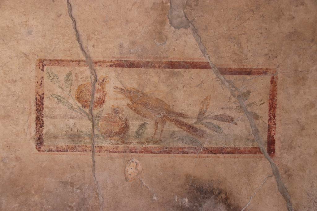 I.7.11 Pompeii. September 2021. 
Wall painting of bird on north wall in cubiculum to south-east of atrium. Photo courtesy of Klaus Heese.
