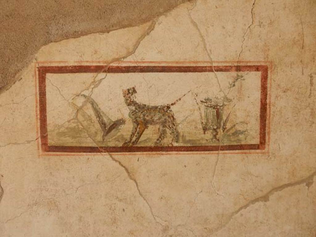 I.7.11 Pompeii. May 2017. 
East wall of cubiculum to south-east of atrium, wall painting of panther, cup and cornucopia, the attributes of Dionysus. Photo courtesy of Buzz Ferebee.

