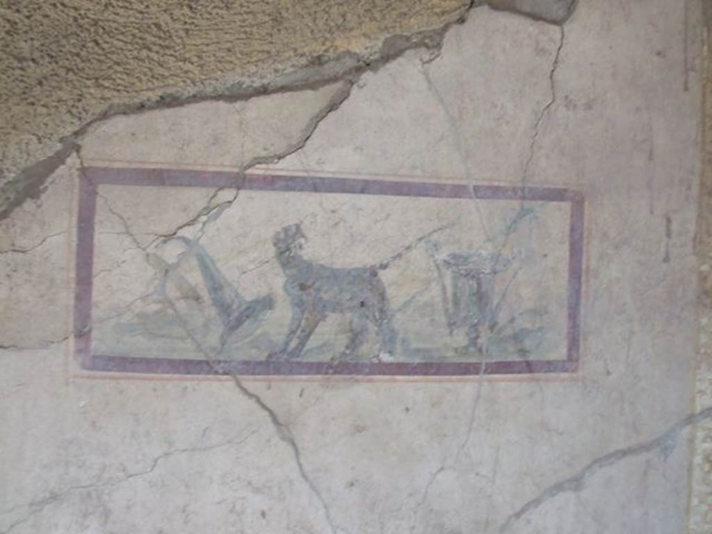 I.7.11 Pompeii. December 2006. East wall of cubiculum to south-east of atrium.
Wall painting of panther, cup and cornucopia, the attributes of Dionysus.

