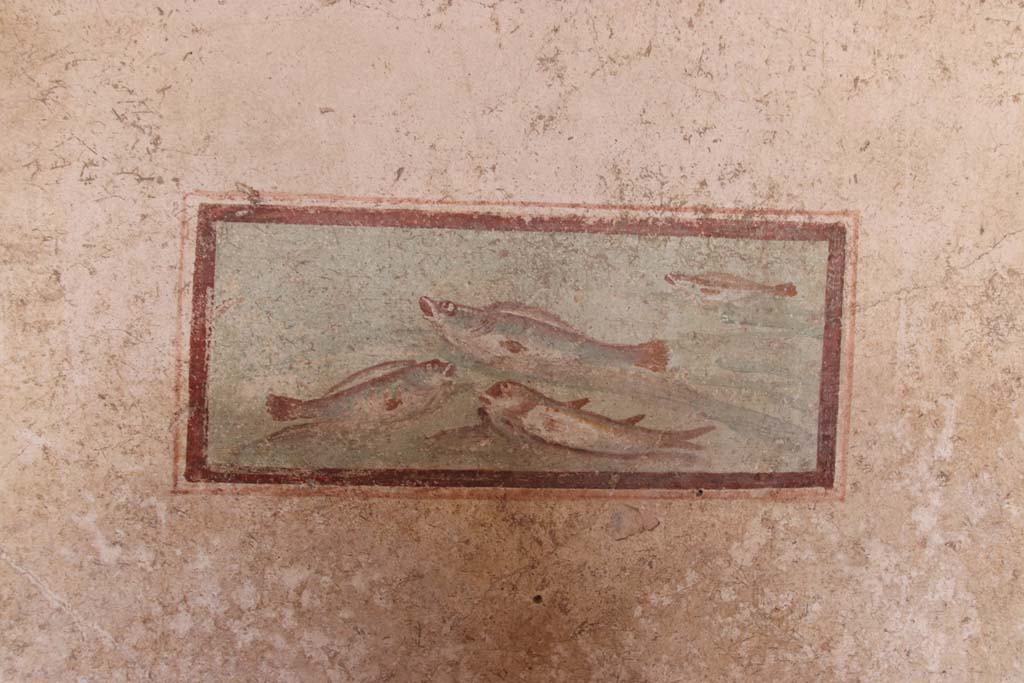 I.7.11 Pompeii. September 2021. 
South wall of cubiculum to south-east of atrium, wall painting of fish from west end of south wall. Photo courtesy of Klaus Heese.
