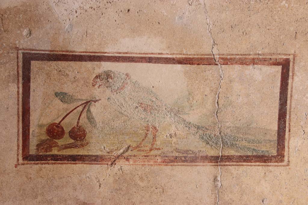 I.7.11 Pompeii. September 2021. 
West wall of cubiculum to south-east of atrium, wall painting of bird with cherry. Photo courtesy of Klaus Heese.
