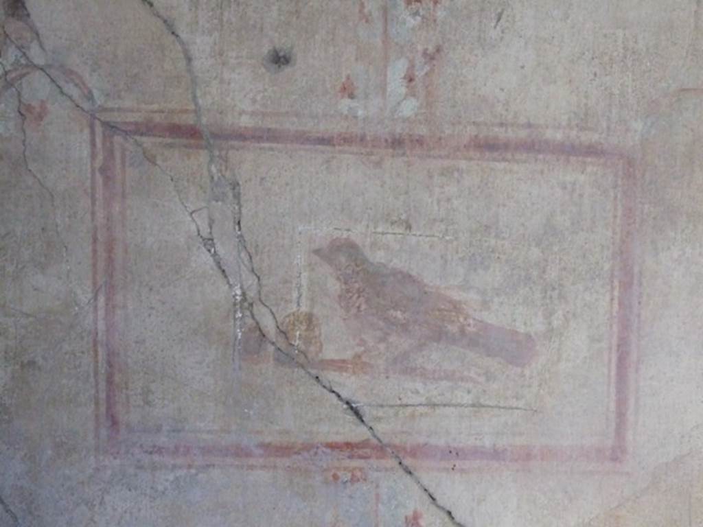 I.8.9 Pompeii. March 2009. Room 4, east wall detail of a painted panel of a bird. 
