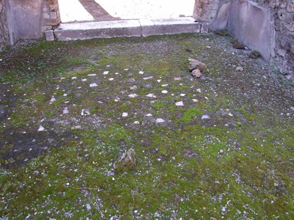 I.8.9 Pompeii. March 2009. Room 5, decorative floor, with emblema of mixed marble pieces in centre of tablinum.
