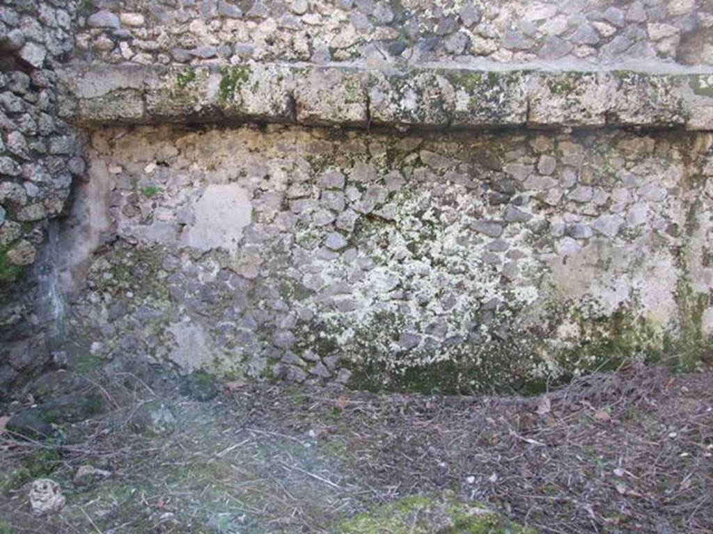 I.10.4 Pompeii. March 2009. Area S [50]. South wall.