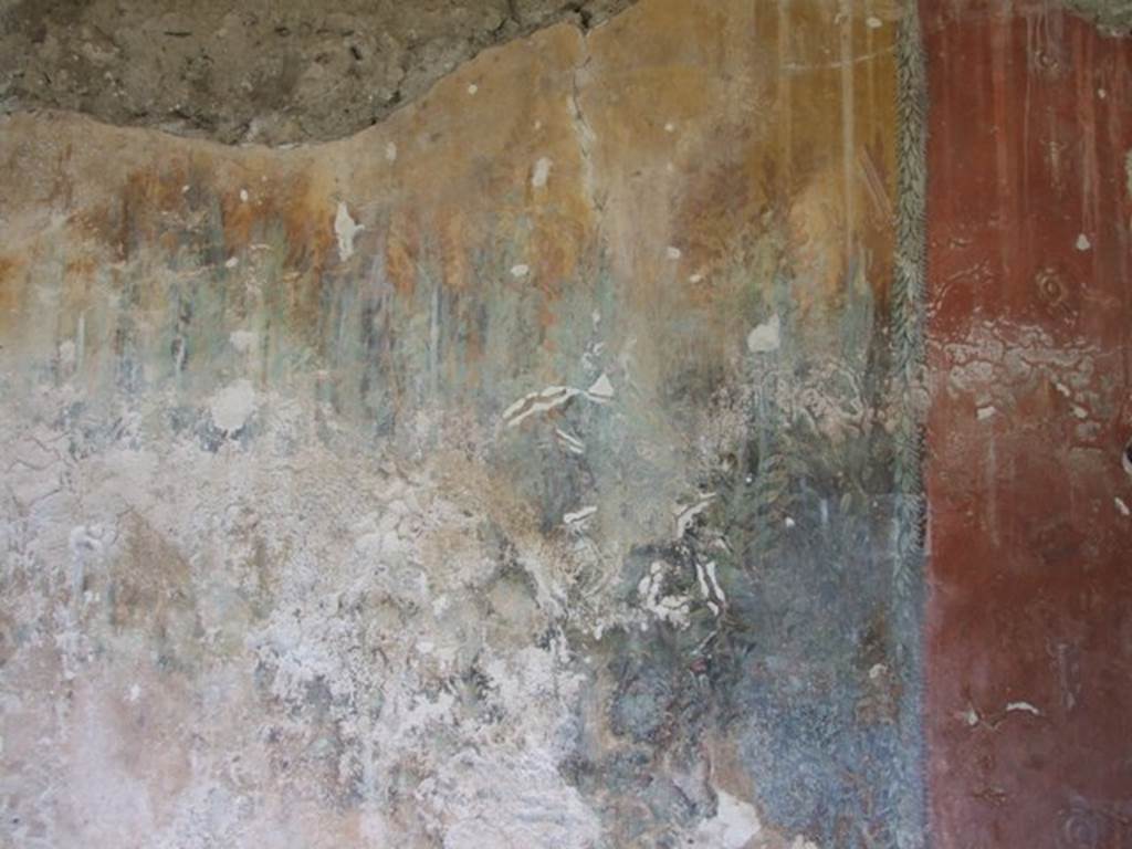 I.12.8 Pompeii. March 2009. Room 9, east side of north wall with remains of garden painting.  
