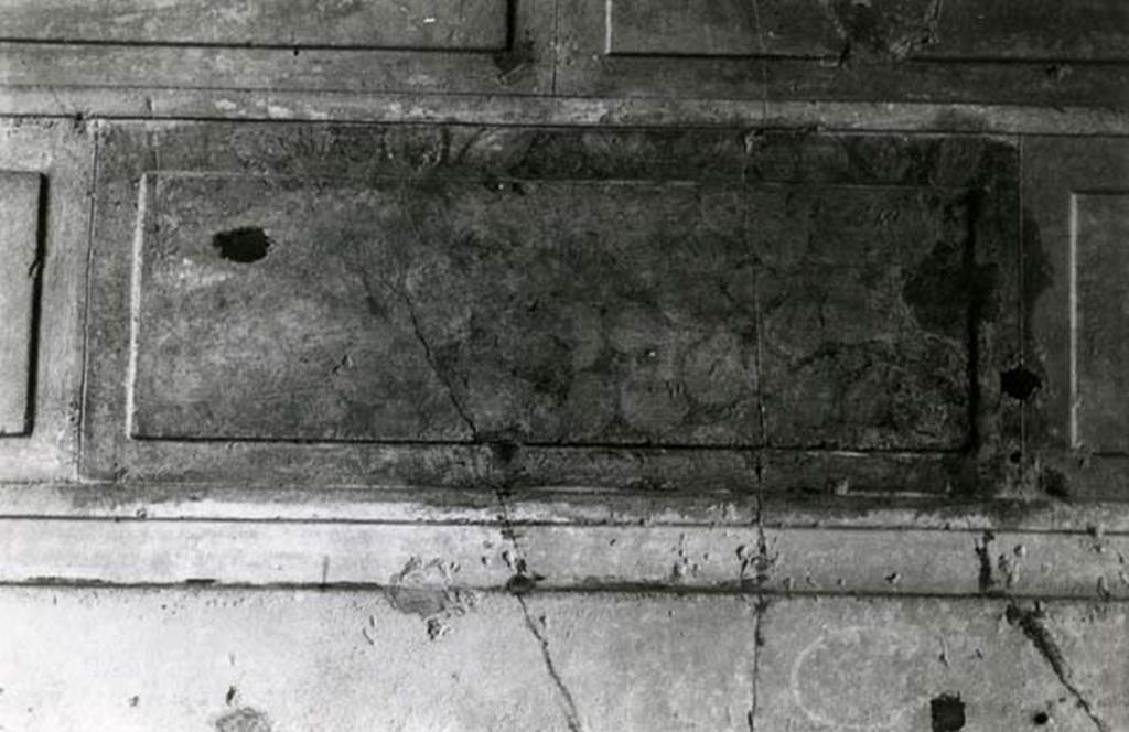 V.2.h Pompeii. 1980. Casa del Cenacolo, cubiculum g, detail of marbling on left E wall.  Photo courtesy of Anne Laidlaw.
American Academy in Rome, Photographic Archive. Laidlaw collection _P_80_1_29.
