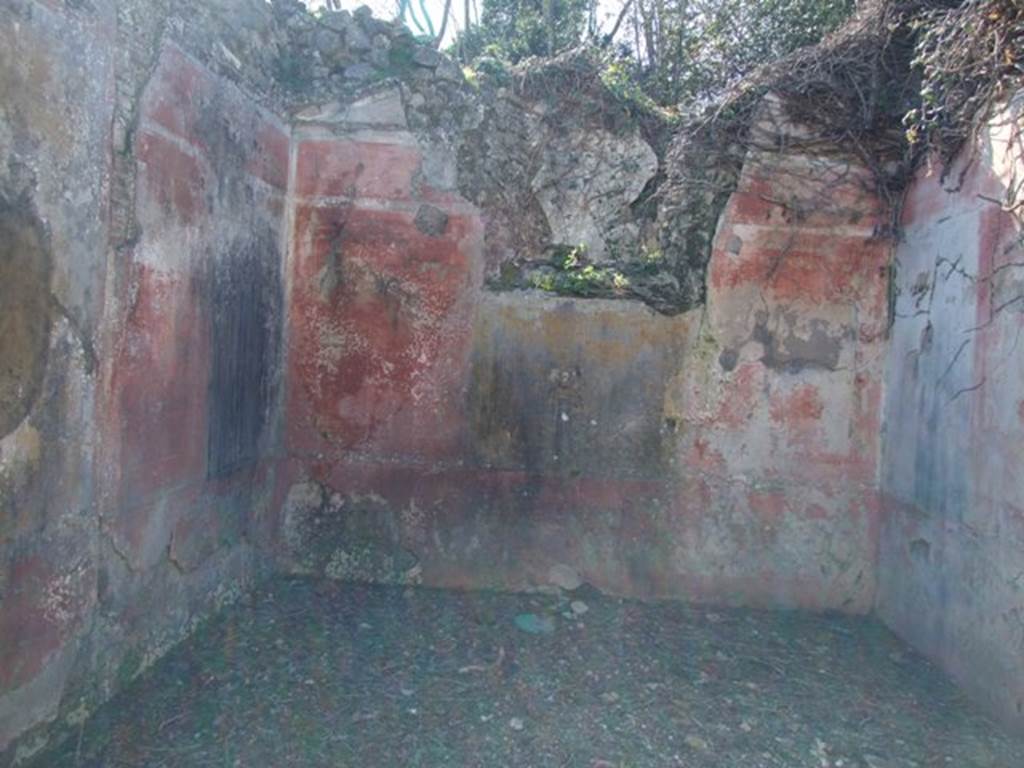 V.3.10 Pompeii. March 2009. West wall of cubiculum, with vaulted ceiling and window onto garden.