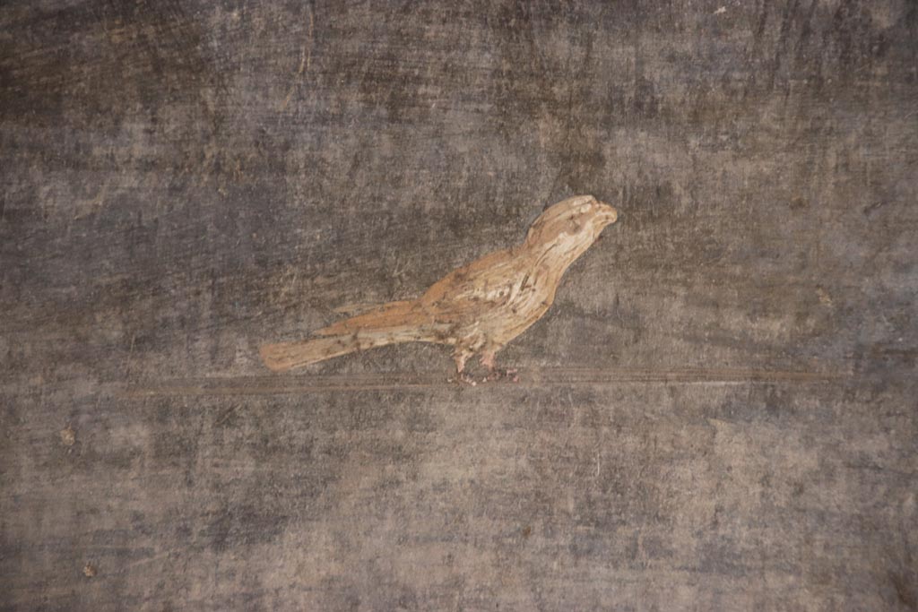 V.4.a Pompeii. October 2023. 
South wall of atrium in south-east corner, detail of painted bird. Photo courtesy of Klaus Heese.
