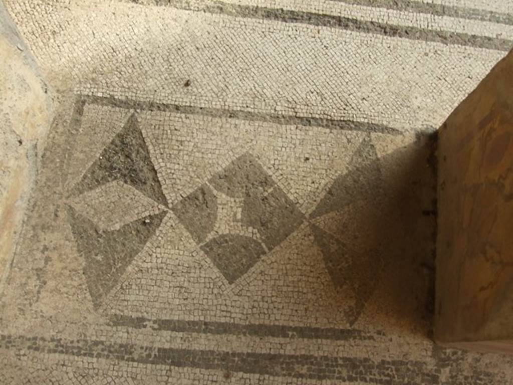 VI.9.2 Pompeii. December 2007. Room 24, Corinthian oecus, mosaic floor between columns.