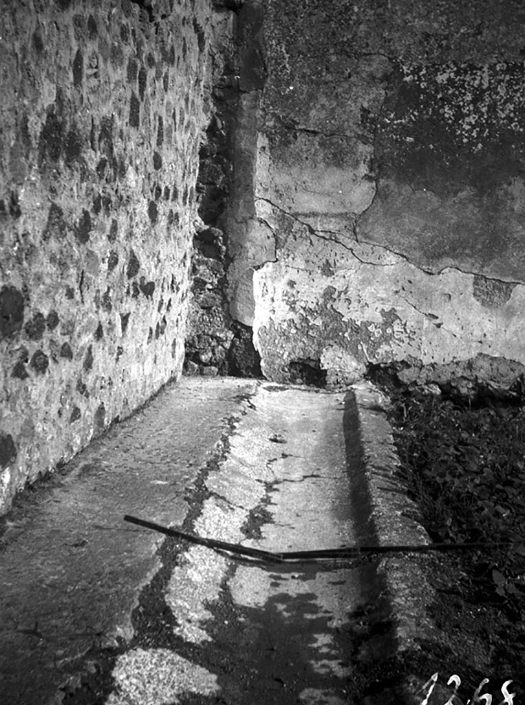VI.9.5 Pompeii. W723. Pseudo-peristyle 30, with rainwater channel near north wall.
Photo by Tatiana Warscher. Photo © Deutsches Archäologisches Institut, Abteilung Rom, Arkiv. 
