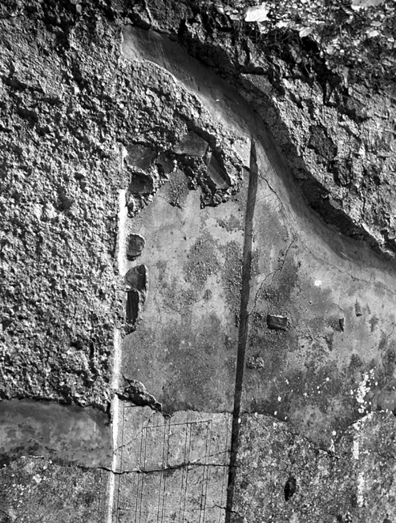 VI.9.5 Pompeii. W727. East wall of peristyle 30 detail of stucco.
Photo by Tatiana Warscher. Photo © Deutsches Archäologisches Institut, Abteilung Rom, Arkiv. 
