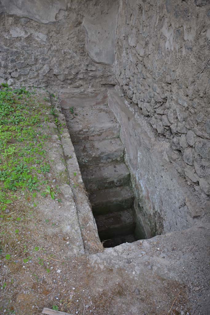 VI.11.9 Pompeii. October 2017. Room 2, steps to cellar, near west wall.
Foto Annette Haug, ERC Grant 681269 DCOR

