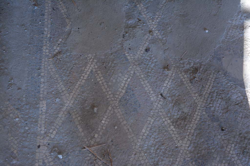 VI.11.10 Pompeii. December 2017. Room 40, detail of flooring.
Foto Annette Haug, ERC Grant 681269 DCOR
