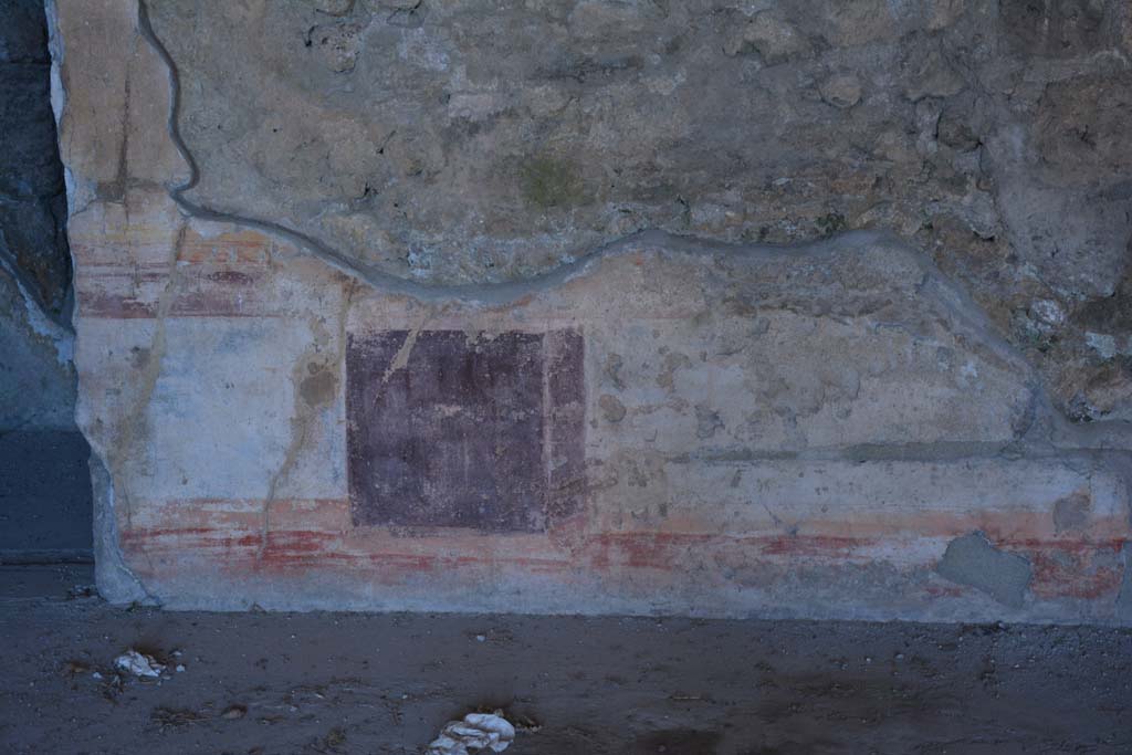 VI.11.10 Pompeii. December 2017. Room 40, detail from lower wall (zoccolo) of north wall.
Foto Annette Haug, ERC Grant 681269 DCOR


