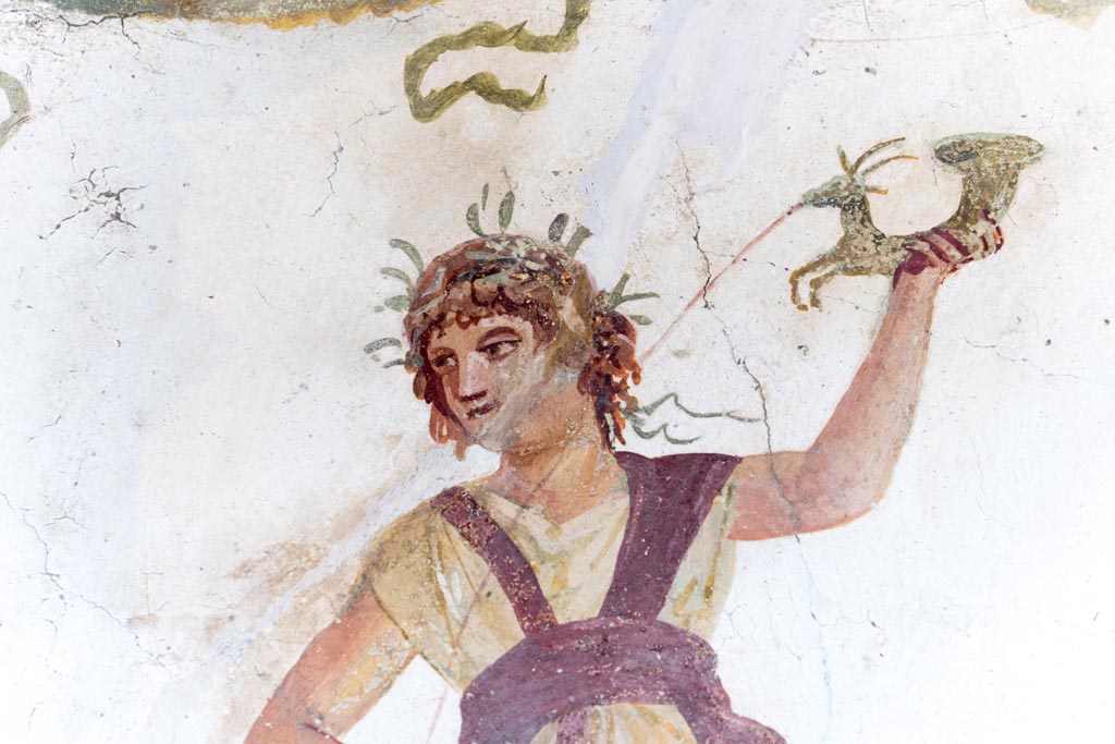 VI.15.1 Pompeii. August 2023. 
Detail from lararium painting of wreathed Lar with rhyton, from south end of lararium painting. Photo courtesy of Johannes Eber.
