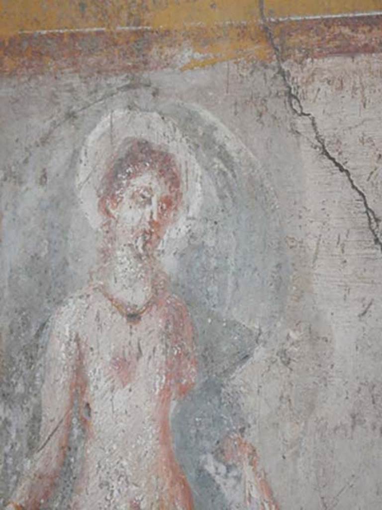 VI.16.15 Pompeii. May 2015. West wall of room F, detail of Selene. Photo courtesy of Buzz Ferebee.
