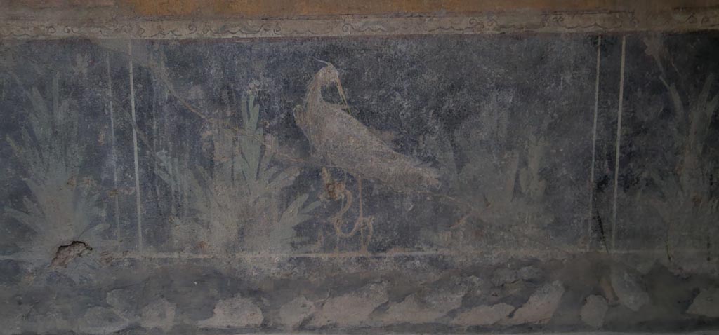 VI.16.15 Pompeii. December 2023. 
Centre of lower zoccolo of east wall of room F with detail of wall painting of bird and plants. Photo courtesy of Miriam Colomer.
