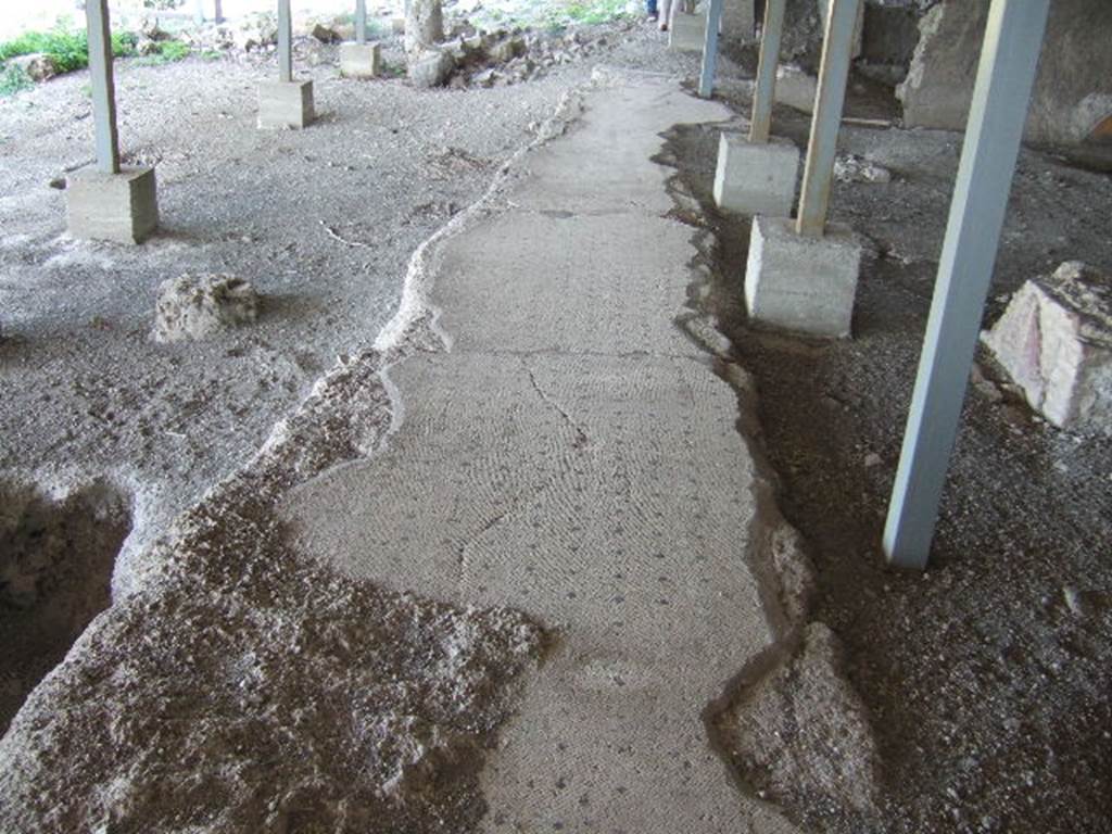 VI.17.41 Pompeii. May 2006. Looking north along mosaic floor on west side, possibly a terrace. 