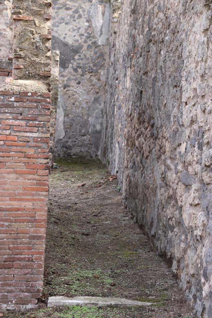 VII.3.8 Pompeii. October 2020. Corridor "b" to rear. Photo courtesy of Klaus Heese.