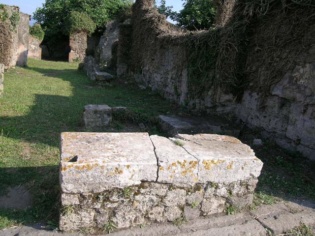 VII.3.13 Pompeii. December 2005. Double Lararium.