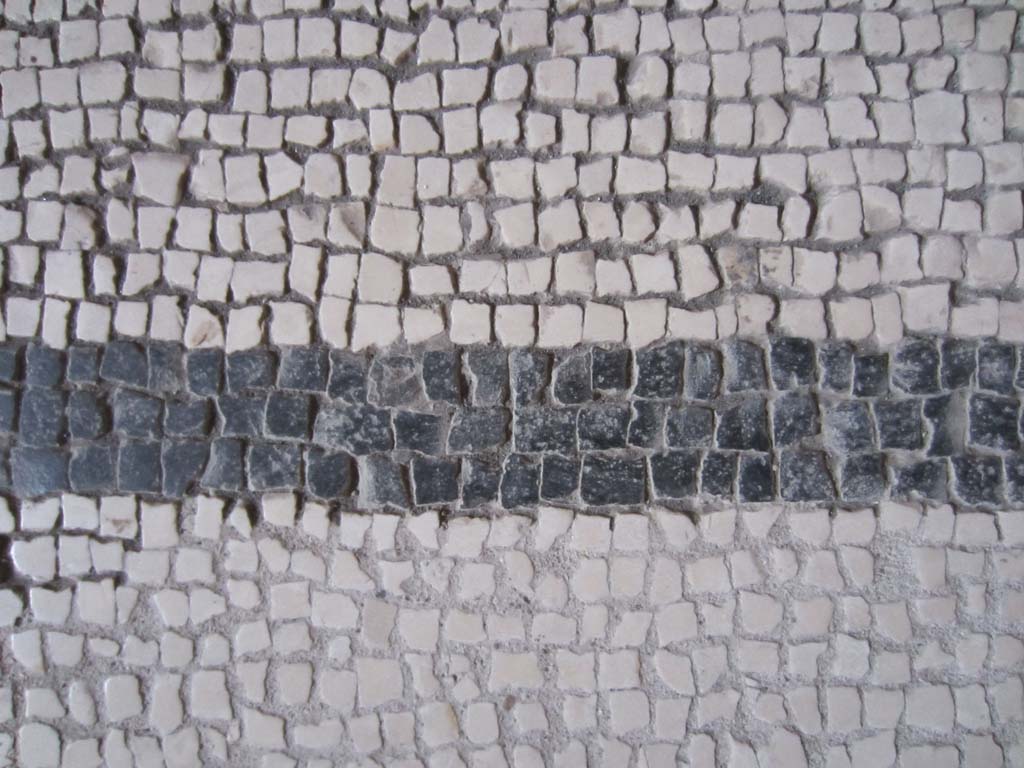 VII.5.24 Pompeii. March 2012. Detail of mosaic floor in the tepidarium (37). Photo courtesy of Marina Fuxa.