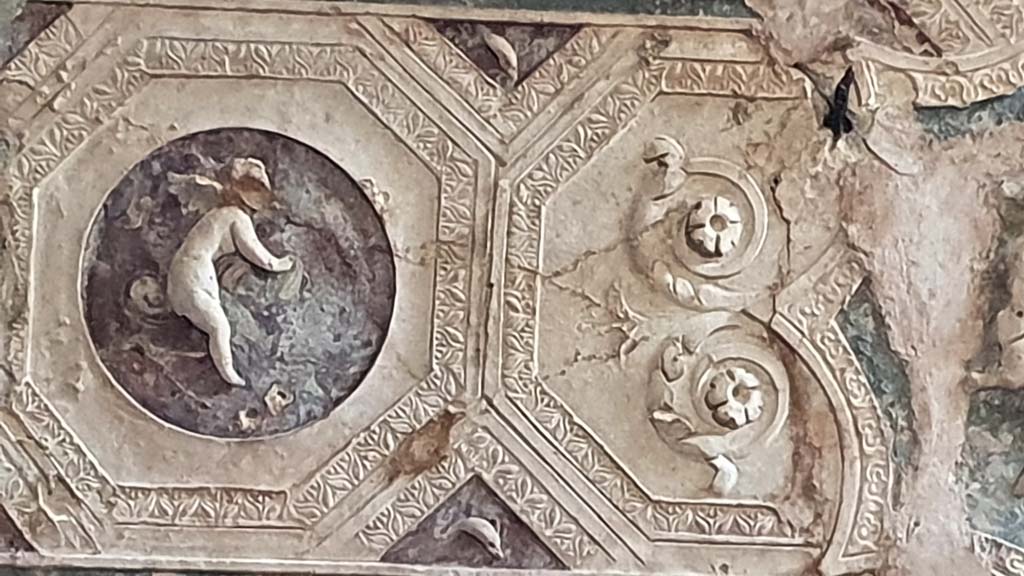 VII.5.24 Pompeii. August 2021. Detail from ceiling plaster stucco in south-east corner of tepidarium.
Foto Annette Haug, ERC Grant 681269 DCOR.

