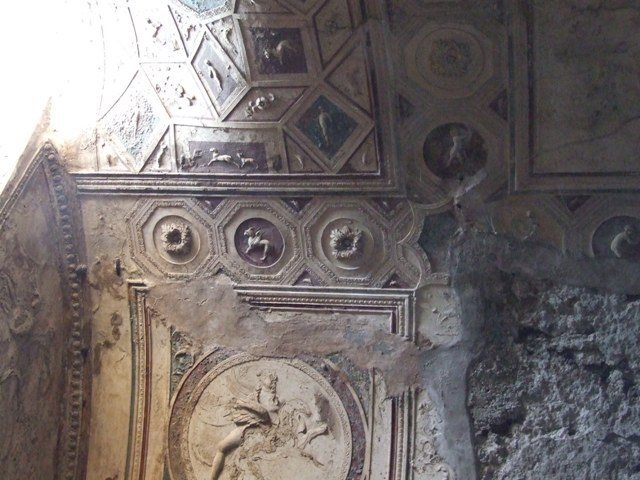 VII.5.24 Pompeii. May 2015. Detail from ceiling plaster stucco in south-west corner of tepidarium (37). Photo courtesy of Buzz Ferebee.
