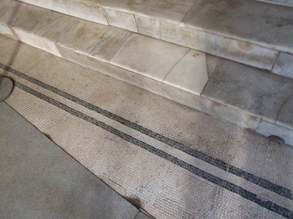 VII.5.24 Pompeii. December 2005. Caldarium (39), mosaic floor and marble steps to hot bath (42).