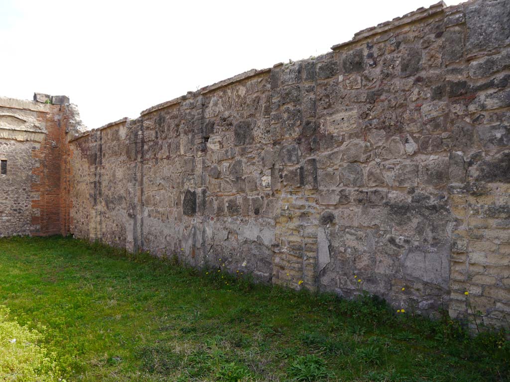 VII.9.2 Pompeii. March 2019. Looking east along south wall.
Foto Anne Kleineberg, ERC Grant 681269 DÉCOR.
