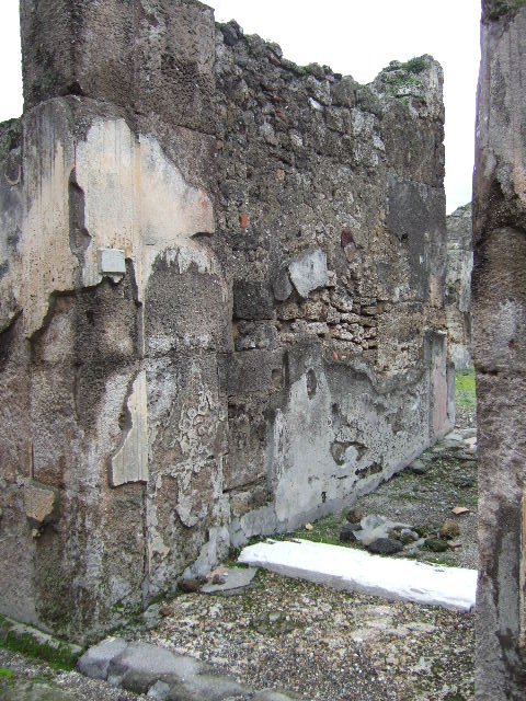 VII.9.47 Pompeii. March 2009. Entrance vestibule and fauces, looking south across Atrium.