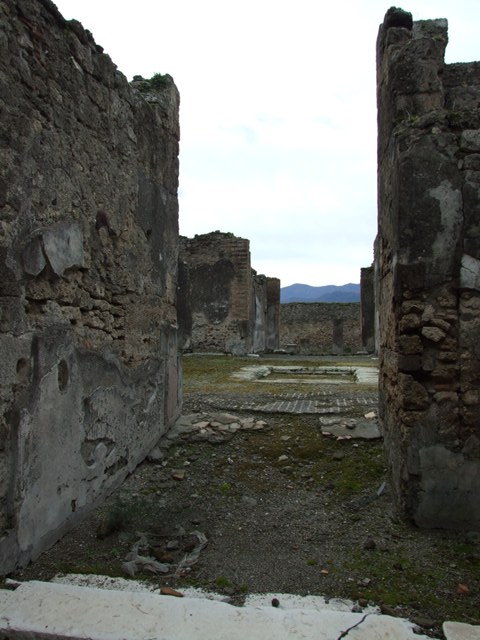 VII.9.47 Pompeii. March 2009. White marble step into entrance vestibule.