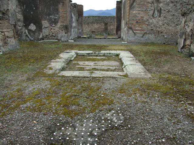VII.9.47 Pompeii. December 2005. Room 1. Atrium. Impluvium.