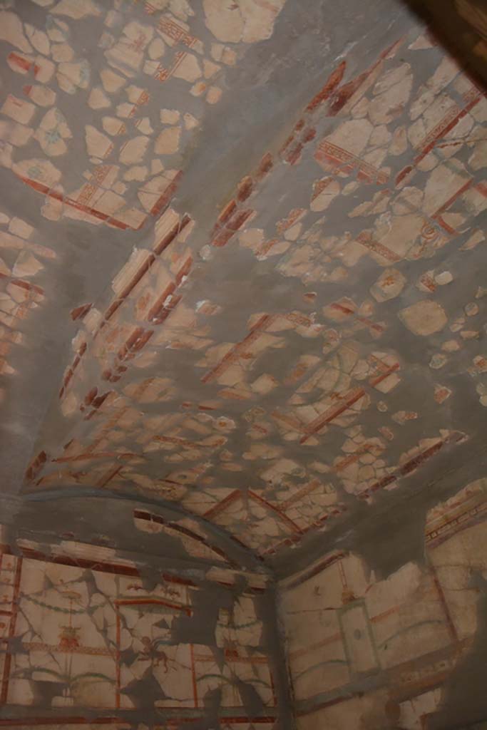 VII.16.22 Pompeii. October 2018. Cubiculum 49, alcove at west end of ceiling.
Foto Annette Haug, ERC Grant 681269 DCOR.


