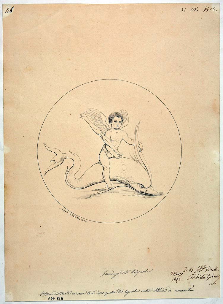 VIII.3.4. Drawing by Giuseppe Abbate, 1842, of painting of a cupid riding a dolphin, from an unknown room.
The wording below the drawing reads Painting found in a house after that of the Cignale in the Strada de Mercanti.
Now in Naples Archaeological Museum. Inventory number ADS 815.
Photo  ICCD. http://www.catalogo.beniculturali.it
Utilizzabili alle condizioni della licenza Attribuzione - Non commerciale - Condividi allo stesso modo 2.5 Italia (CC BY-NC-SA 2.5 IT)
