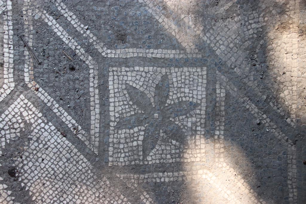 VIII.5.15 Pompeii. October 2022. Room 9, detail of flooring. Photo courtesy of Klaus Heese. 