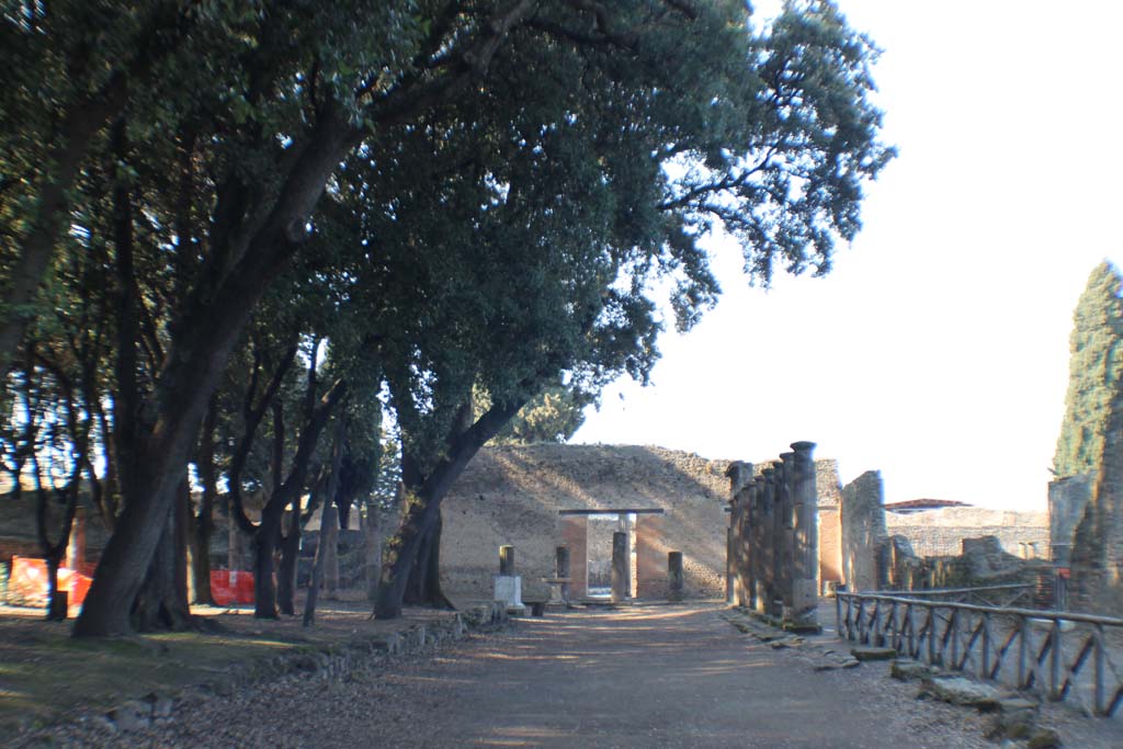 VIII.7.30 Pompeii. March 2014. Looking north in Triangular Forum. 
Foto Annette Haug, ERC Grant 681269 DÉCOR.
