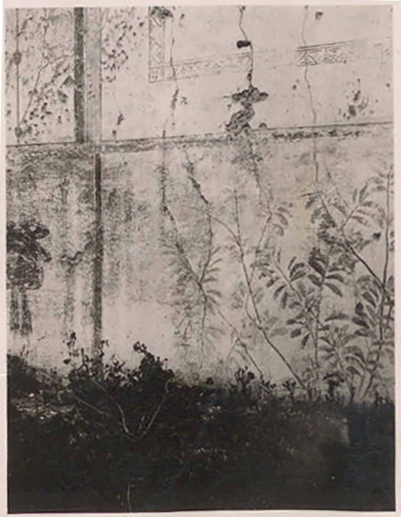 IX.1.20 Pompeii. Pre-1943. Painted decoration on the north wall. Photo by Tatiana Warscher.
According to Warscher – 
“On the north wall are some traces of painting: the most common decoration on the central panel and also
bushes on the zoccolo”.
See Warscher, T. Codex Topographicus Pompeianus, IX.1. (1943), Swedish Institute, Rome. (no.107), p. 186.
