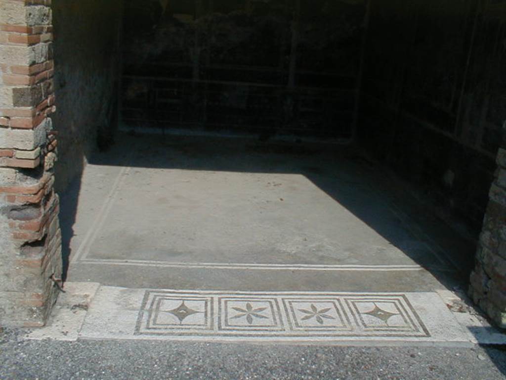 IX.8.6 Pompeii. September 2004.  Room 11, mosaic door sill.
