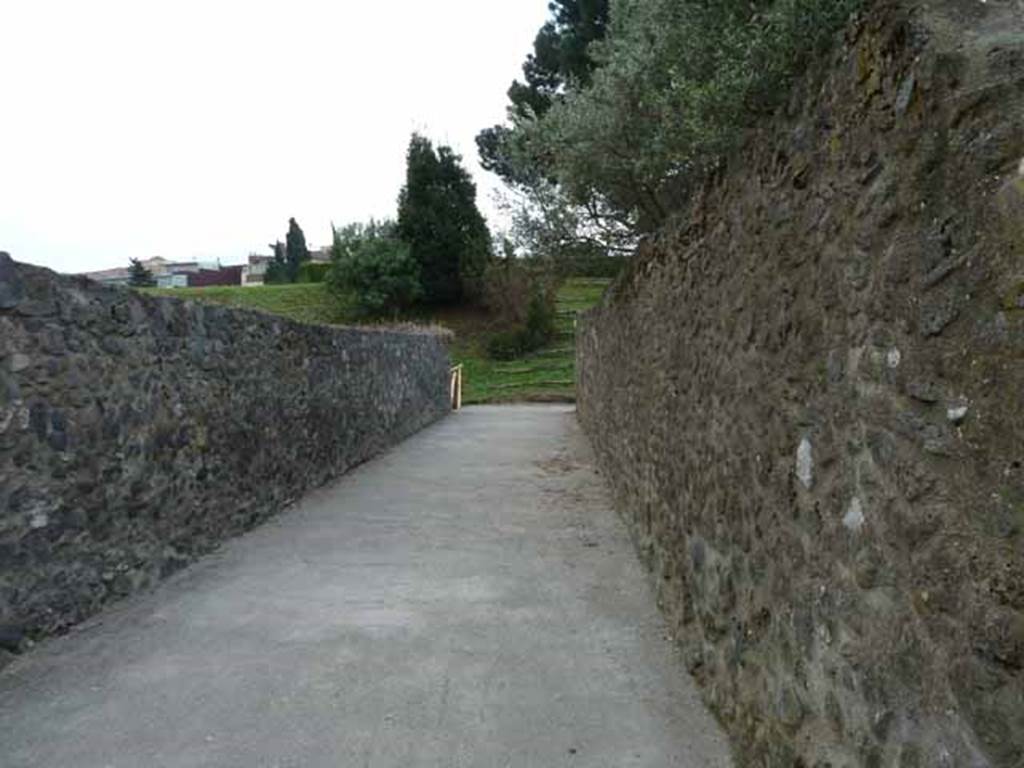Vicolo dei Fuggiaschi, south end,  May 2010. Looking south from I.21.6, the fugitives garden