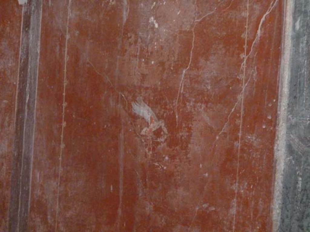 Oplontis, September 2015. Room 55, painted bird in middle of red panel on west wall.