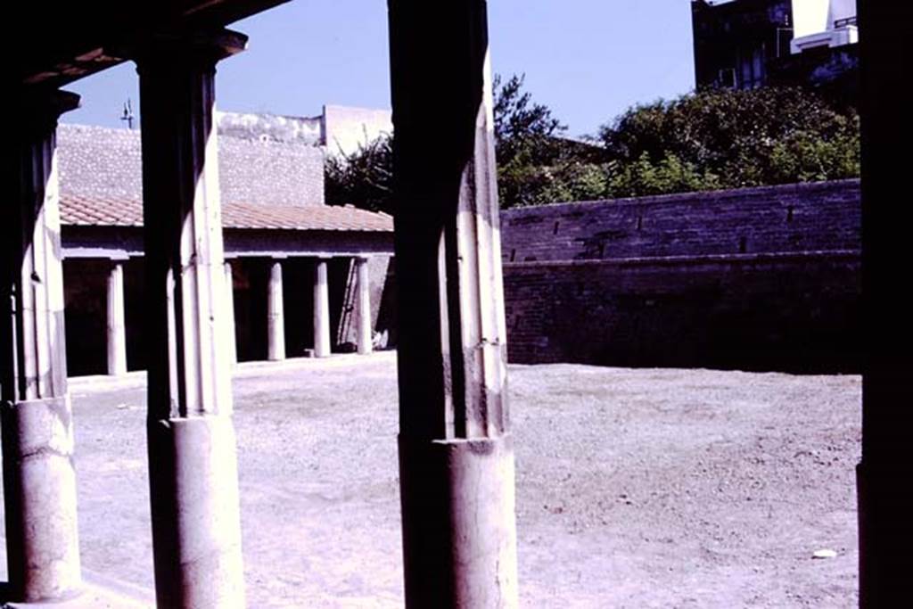 Oplontis, 1977. Area 59, the south-east peristyle, looking south-east from the north portico. Photo by Stanley A. Jashemski.   
Source: The Wilhelmina and Stanley A. Jashemski archive in the University of Maryland Library, Special Collections (See collection page) and made available under the Creative Commons Attribution-Non Commercial License v.4. See Licence and use details. J77f0364


