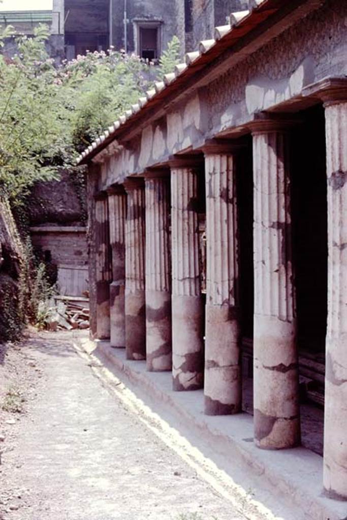 Oplontis. 1974. Peristyle 59, looking south along west portico. Photo by Stanley A. Jashemski.   
Source: The Wilhelmina and Stanley A. Jashemski archive in the University of Maryland Library, Special Collections (See collection page) and made available under the Creative Commons Attribution-Non Commercial License v.4. See Licence and use details. J74f0623
