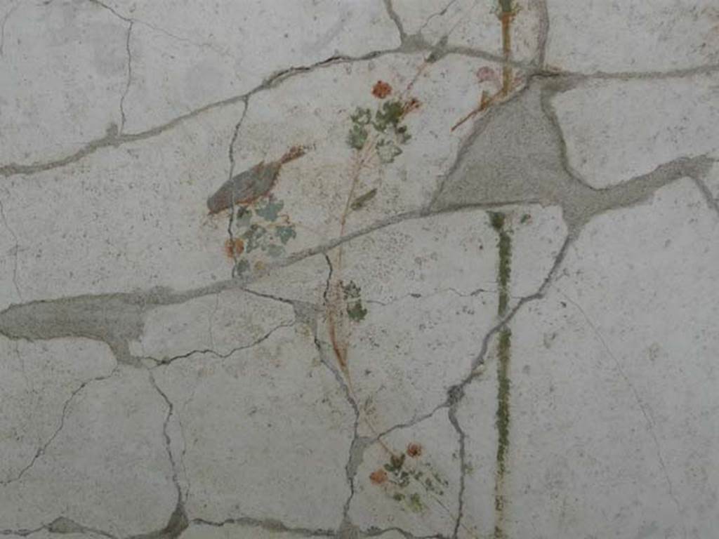 Oplontis, September 2015. Portico 60, west wall, painting of bird at north end of wall between rooms 88 and 90.