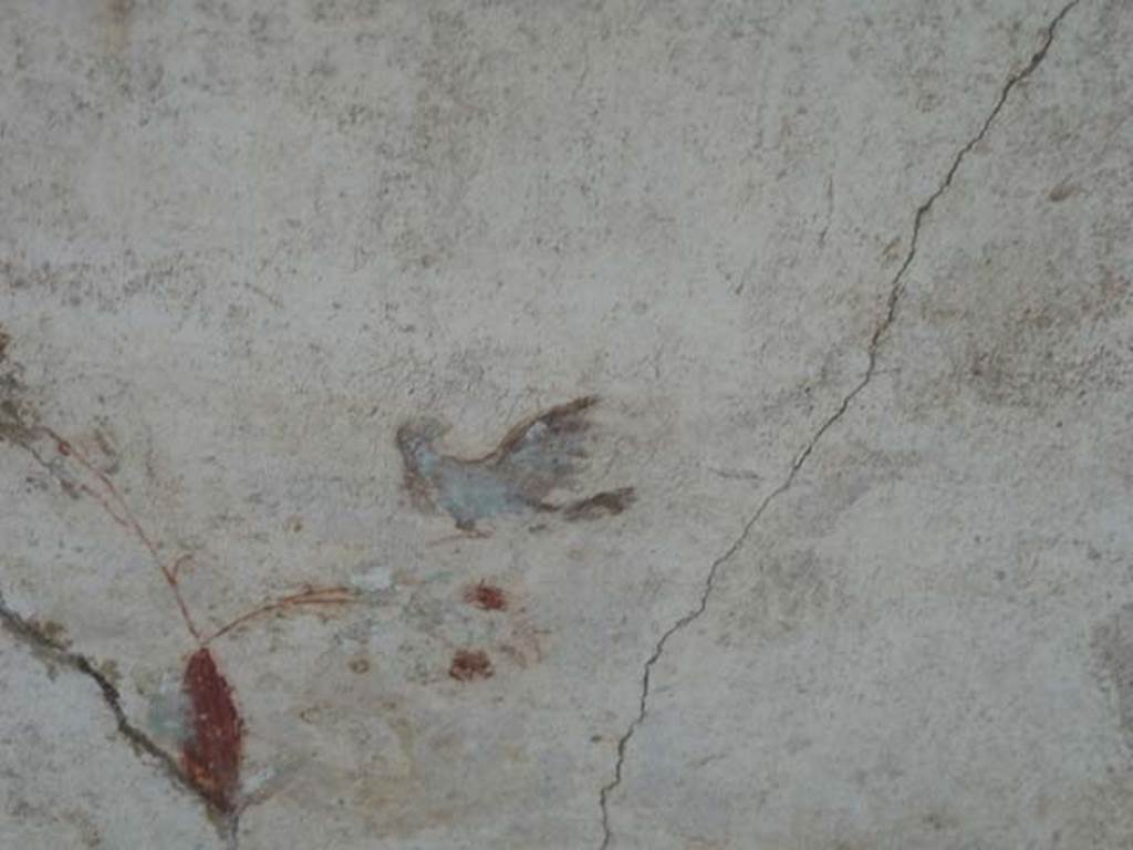 Oplontis, September 2015. Portico 60, detail of bird on painted wall between room 88 and room 90, at lower north end.


