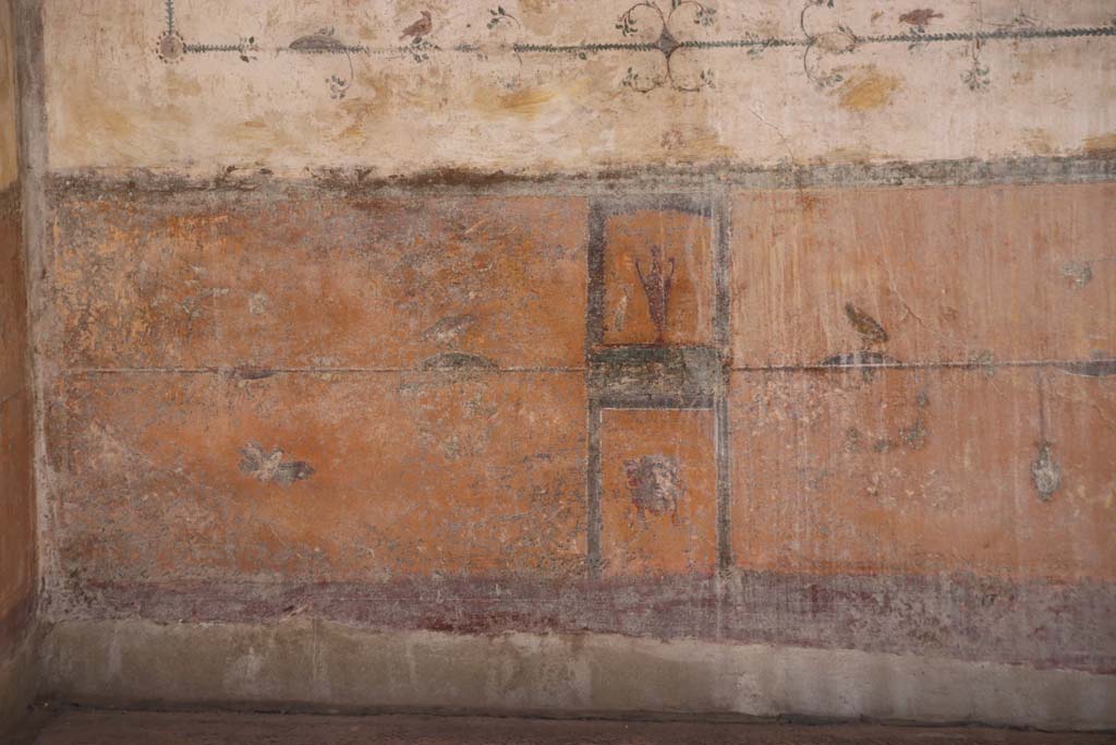 Stabiae, Villa Arianna, September 2021. Room 12, south wall at east end, painted zoccolo/dado. Photo courtesy of Klaus Heese.
