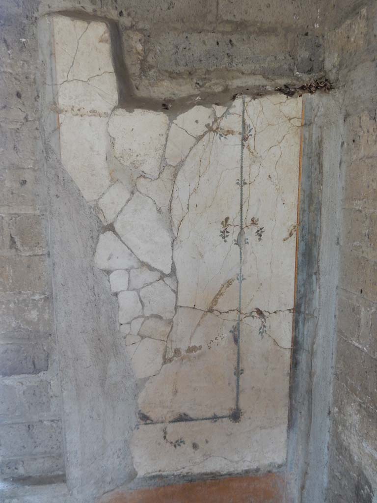 Stabiae, Villa Arianna, June 2019. Room 12, detail from north wall in north-east corner
Photo courtesy of Buzz Ferebee.

